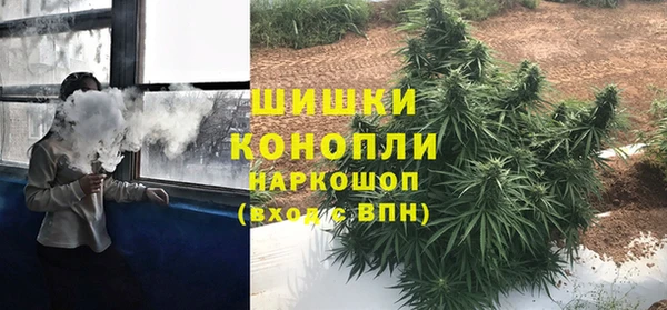 шишки Сатка
