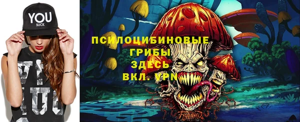 apvp Балахна