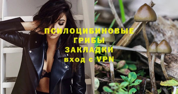 дурь Армянск