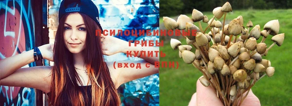 спайс Балабаново