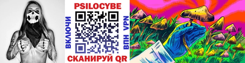 Галлюциногенные грибы Cubensis  купить  сайты  Углич 
