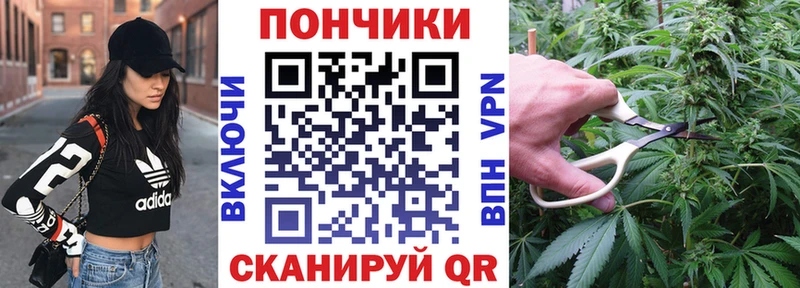 omg зеркало  даркнет сайт  Углич  Шишки марихуана план 